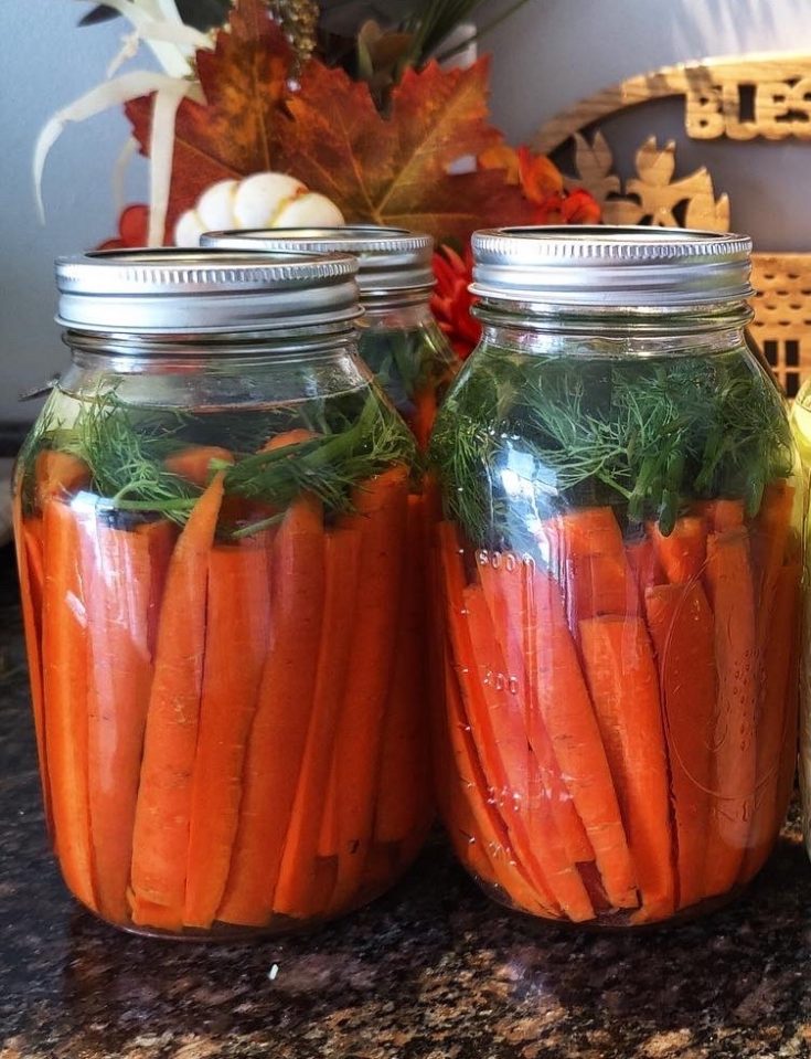 fermented pickled carrots in mason jars